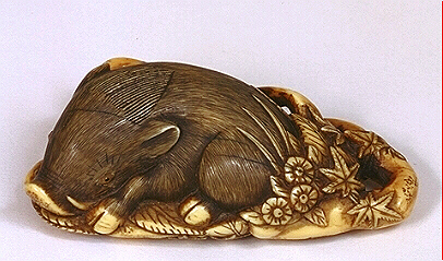 Ivory Boar Netsuke
