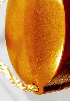 Close-Up Base: Bamboo and Prunus Inro