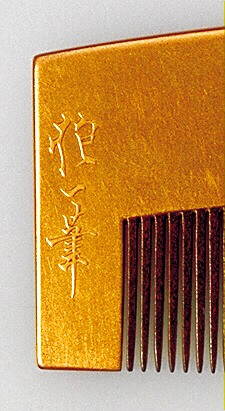 Hoitsu